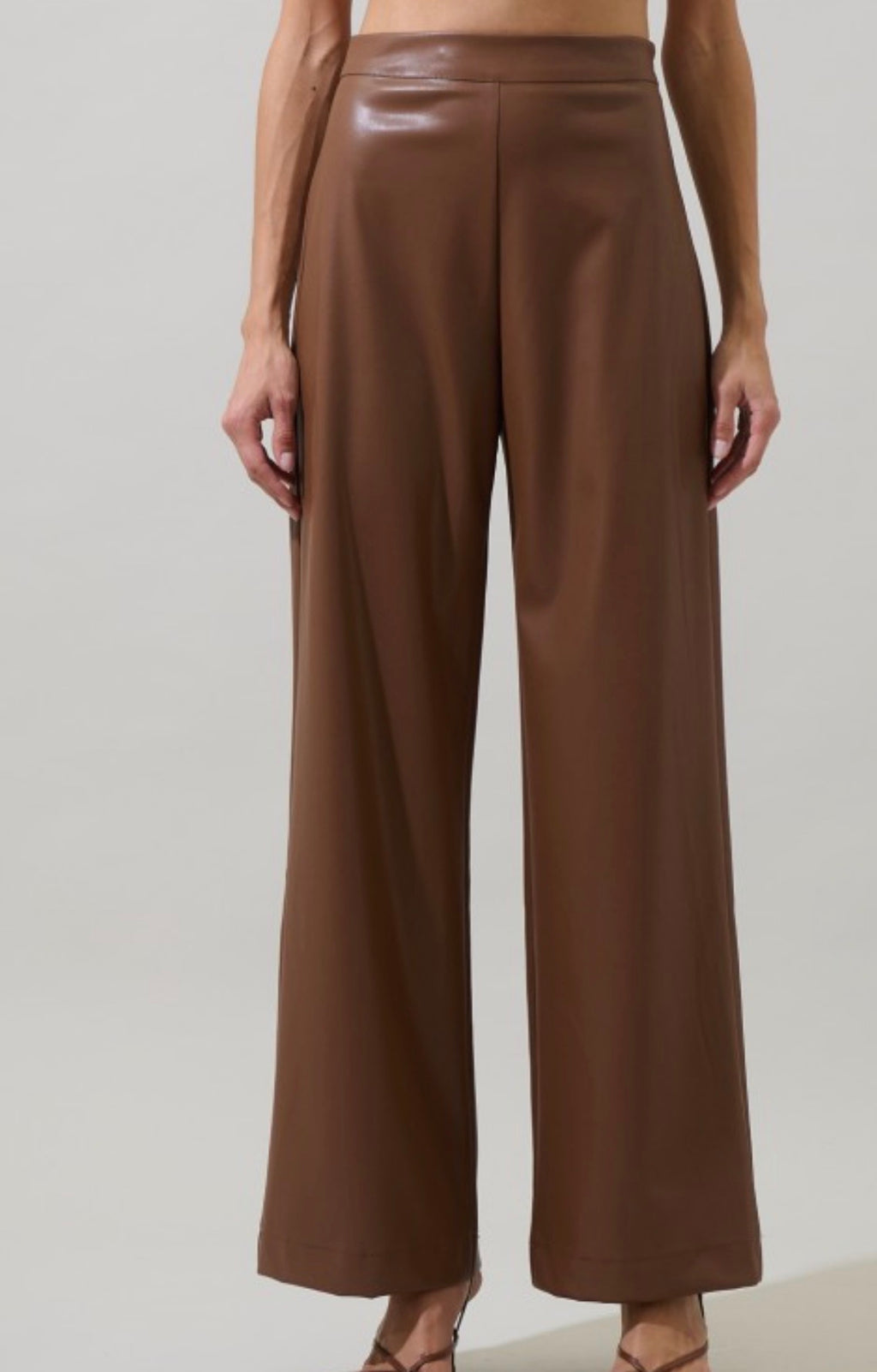 Anisa Wide Leg Pant
