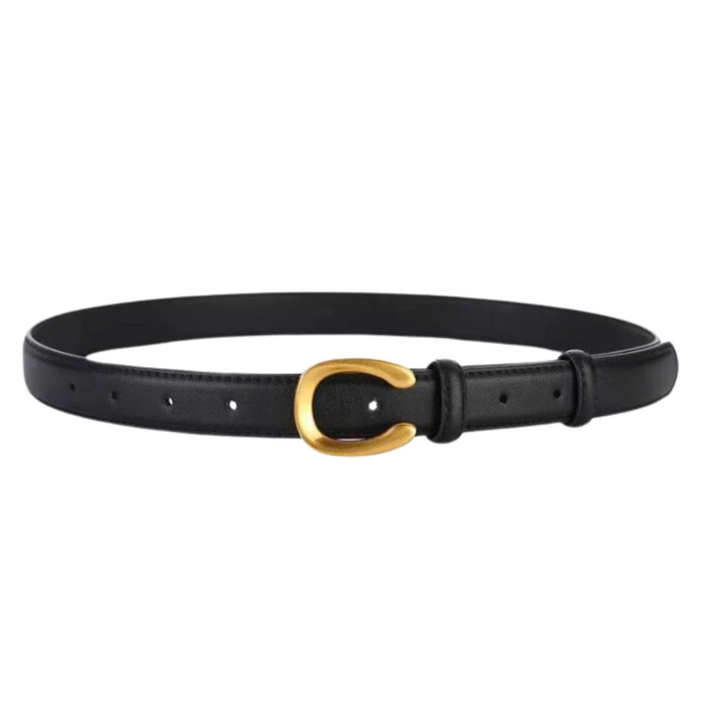 Small Horseshoe Belt