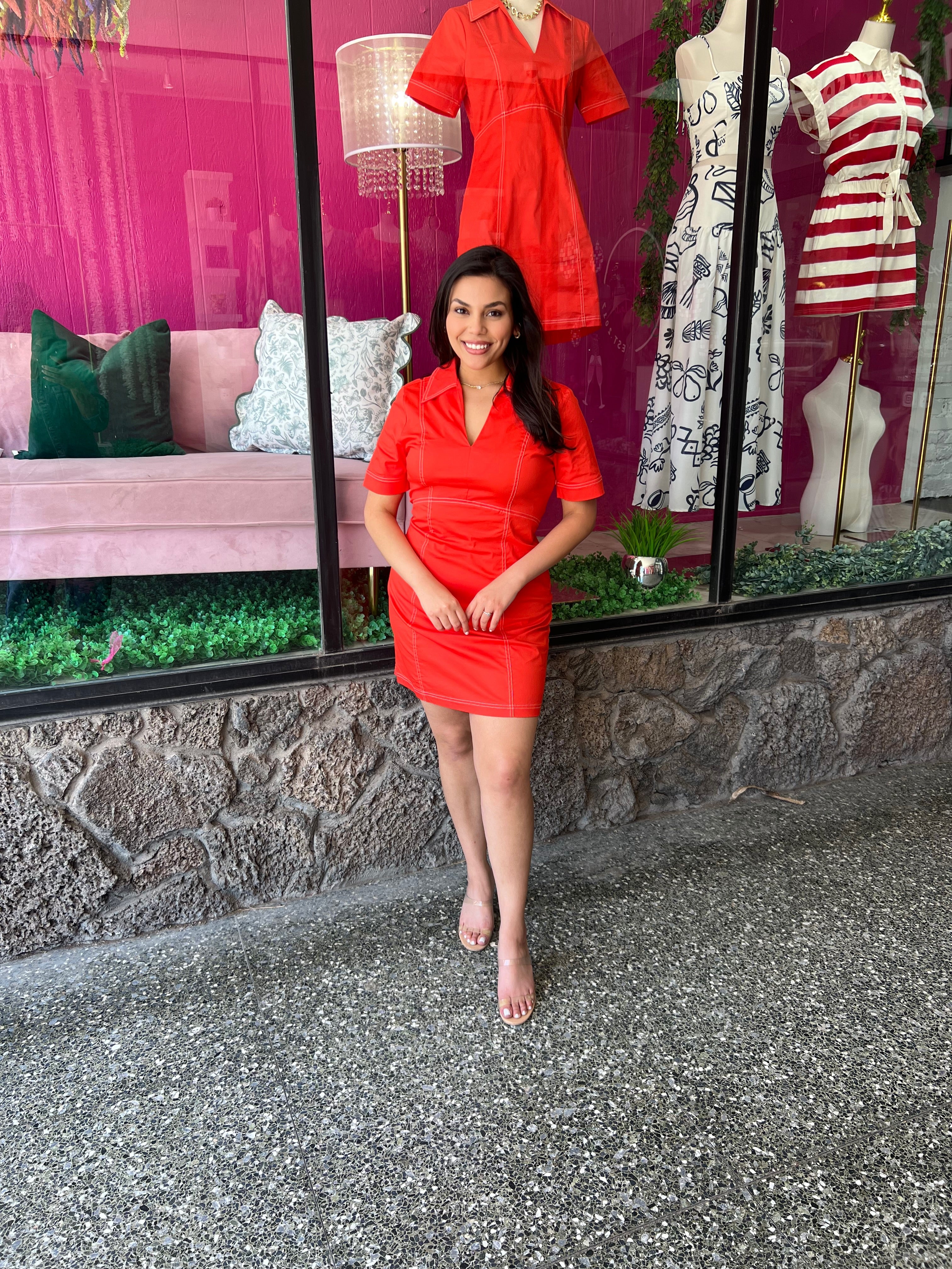 Sindie Mini Dress