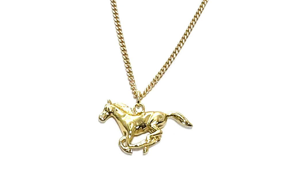 Lone Ranger Necklace