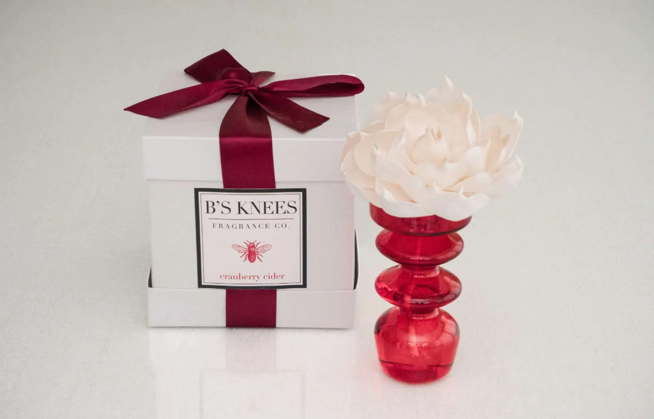 Cranberry Cider Diffuser