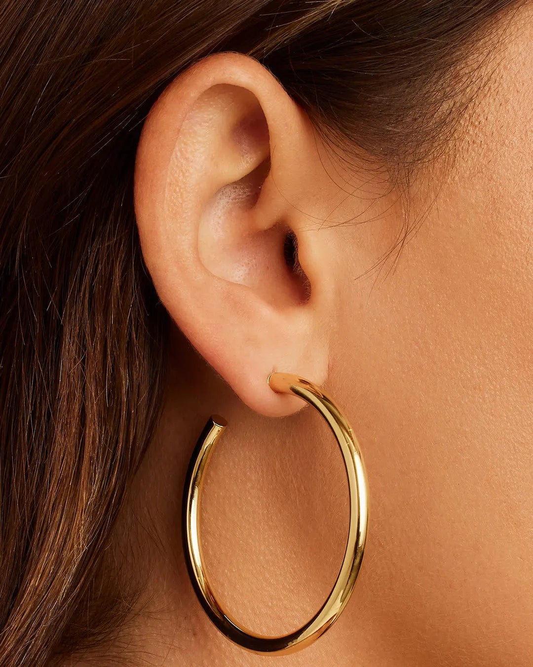 Carter Statement Hoop
