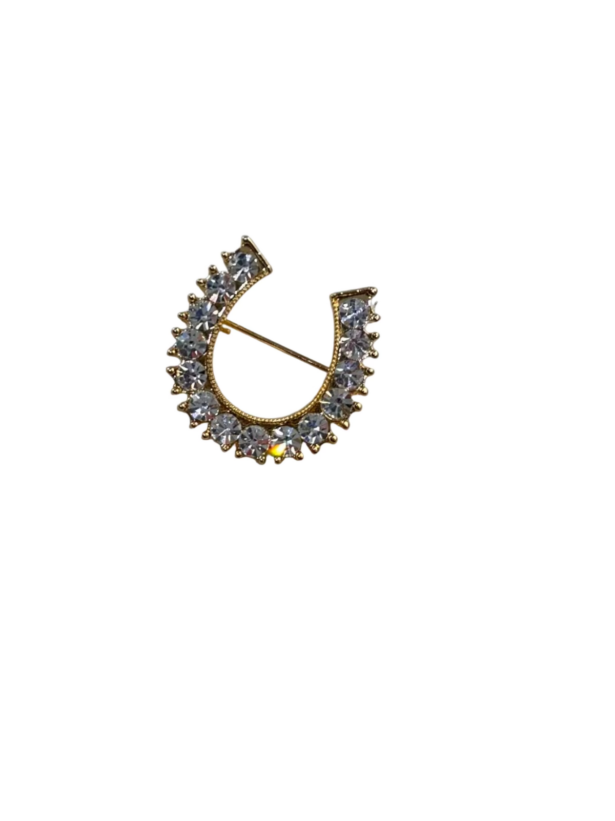 Horseshoe Brooch